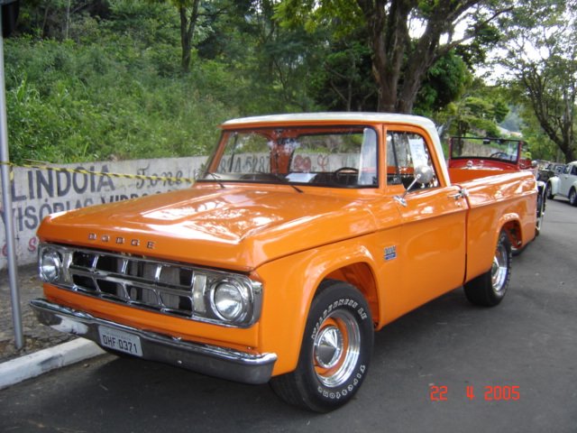 photo41.jpg