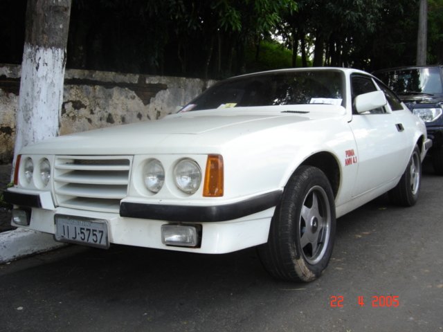 photo44.jpg
