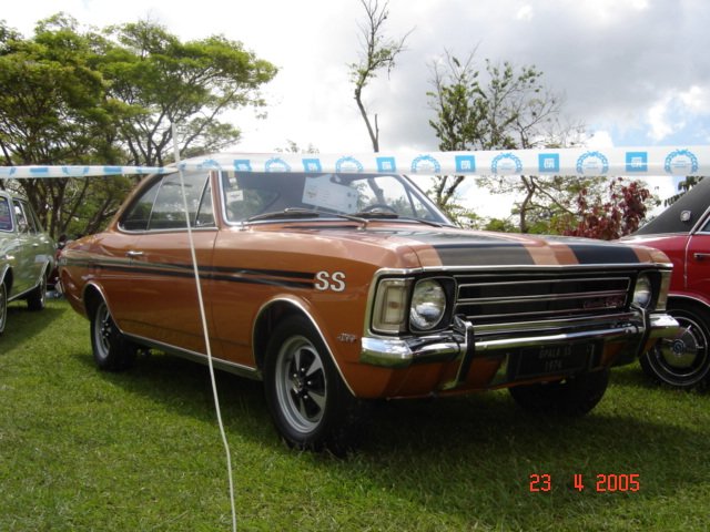 photo61.jpg