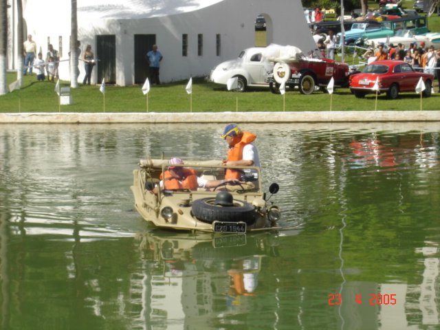 photo63.jpg