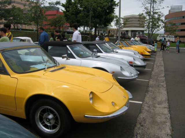photo31.jpg