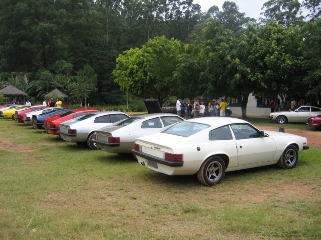 photo38.jpg