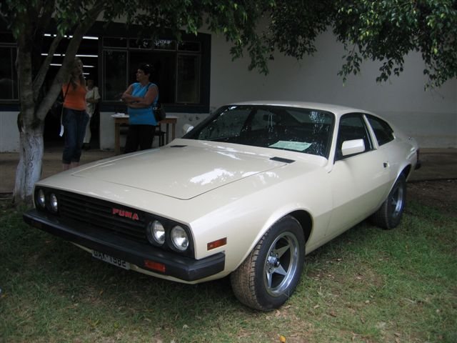 photo39.jpg