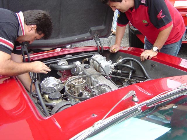 photo44.jpg