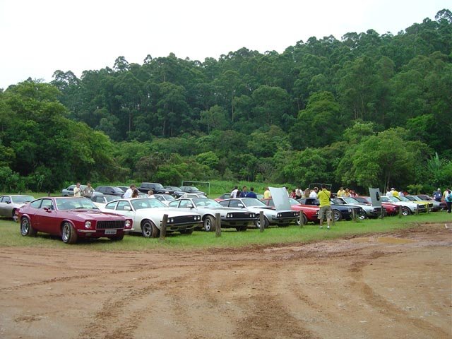 photo50.jpg