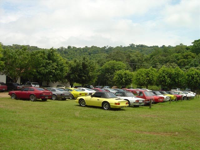 photo53.jpg