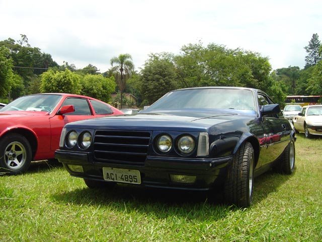 photo55.jpg