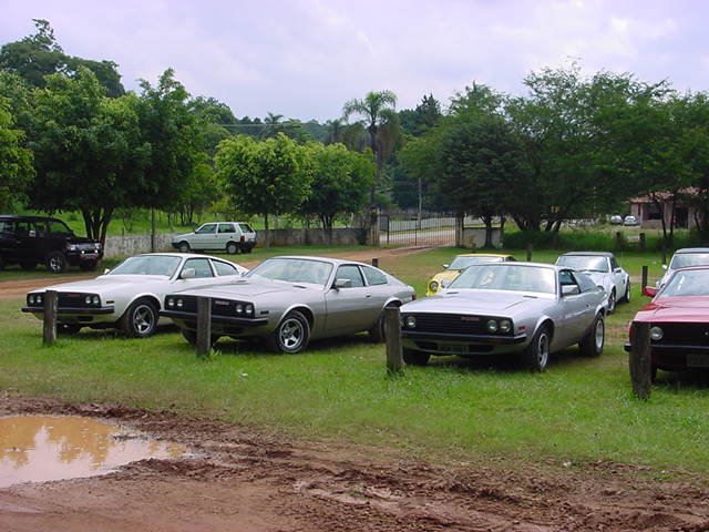 photo59.jpg