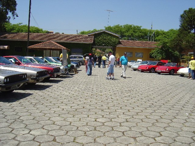 photo46.jpg