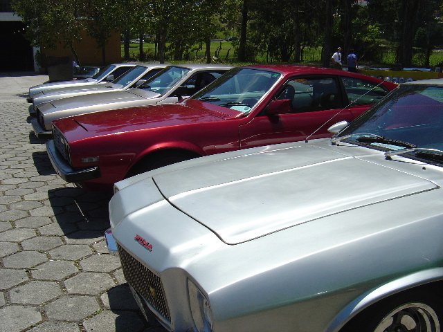 photo47.jpg