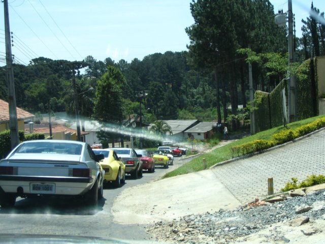 photo8.jpg